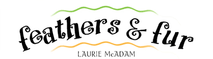 Feathers & Fur by Laurie McAdam
